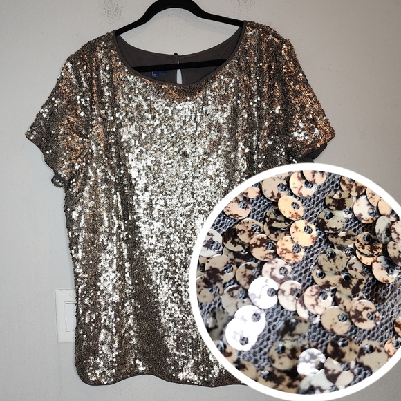 Talbots RSVP Silver Grey Sequin Mesh Short Sleeve Top women's plus size 22W - Picture 1 of 17